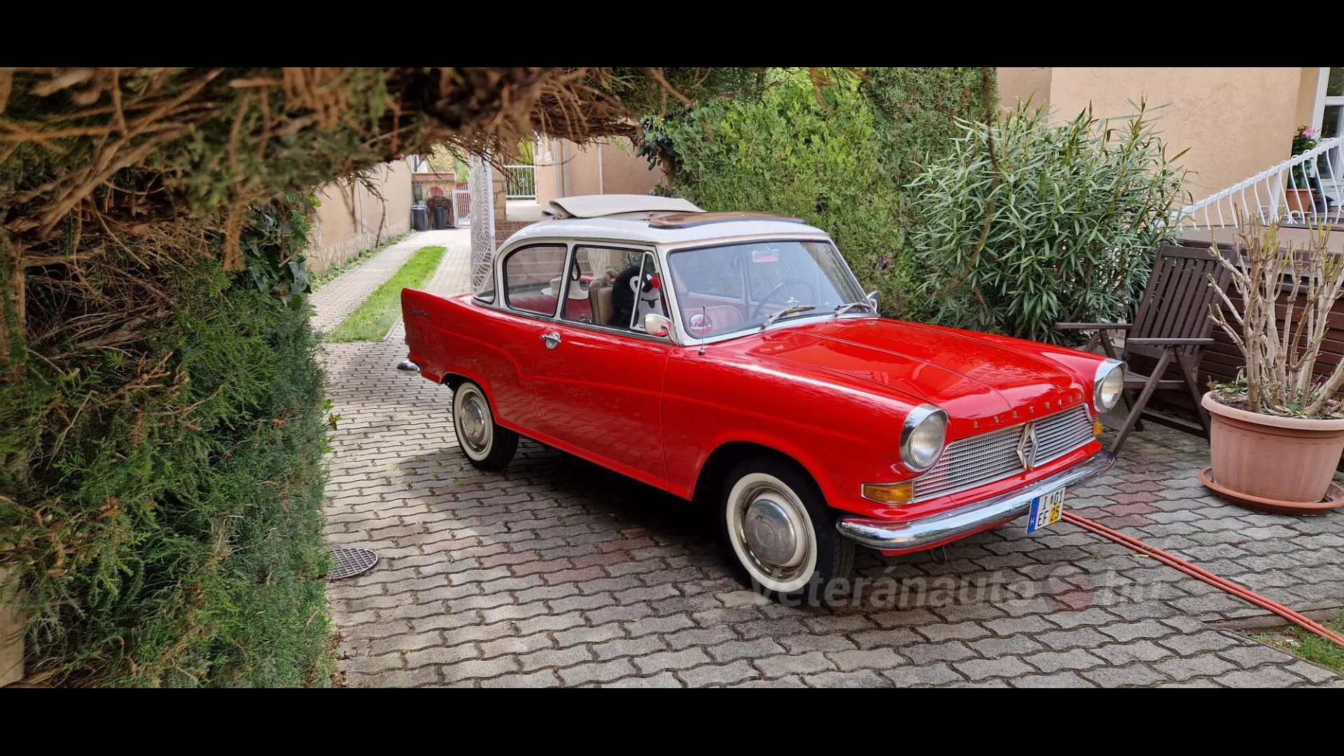 Csodálatos kis ritkaság amivel nagyon kevés gyűjtemény büszkélkedhet