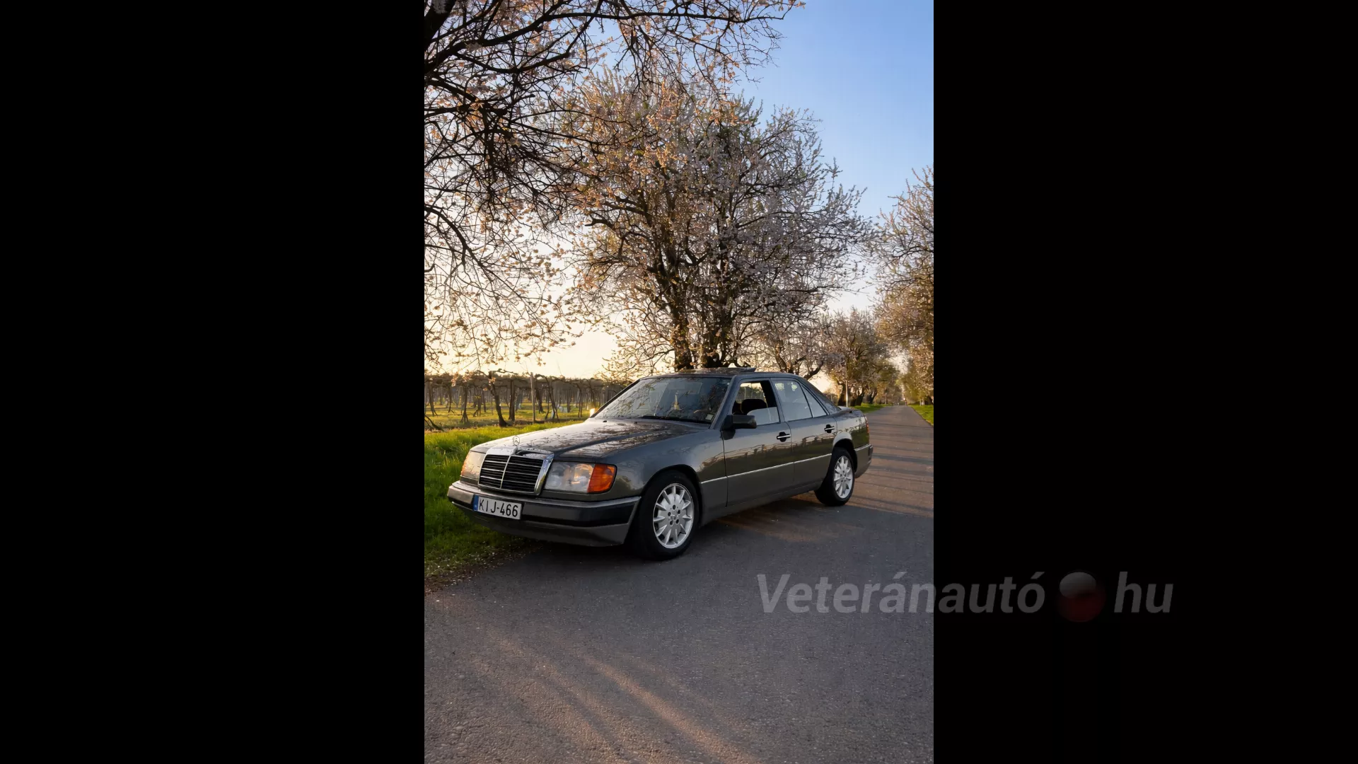 Mercedes w124