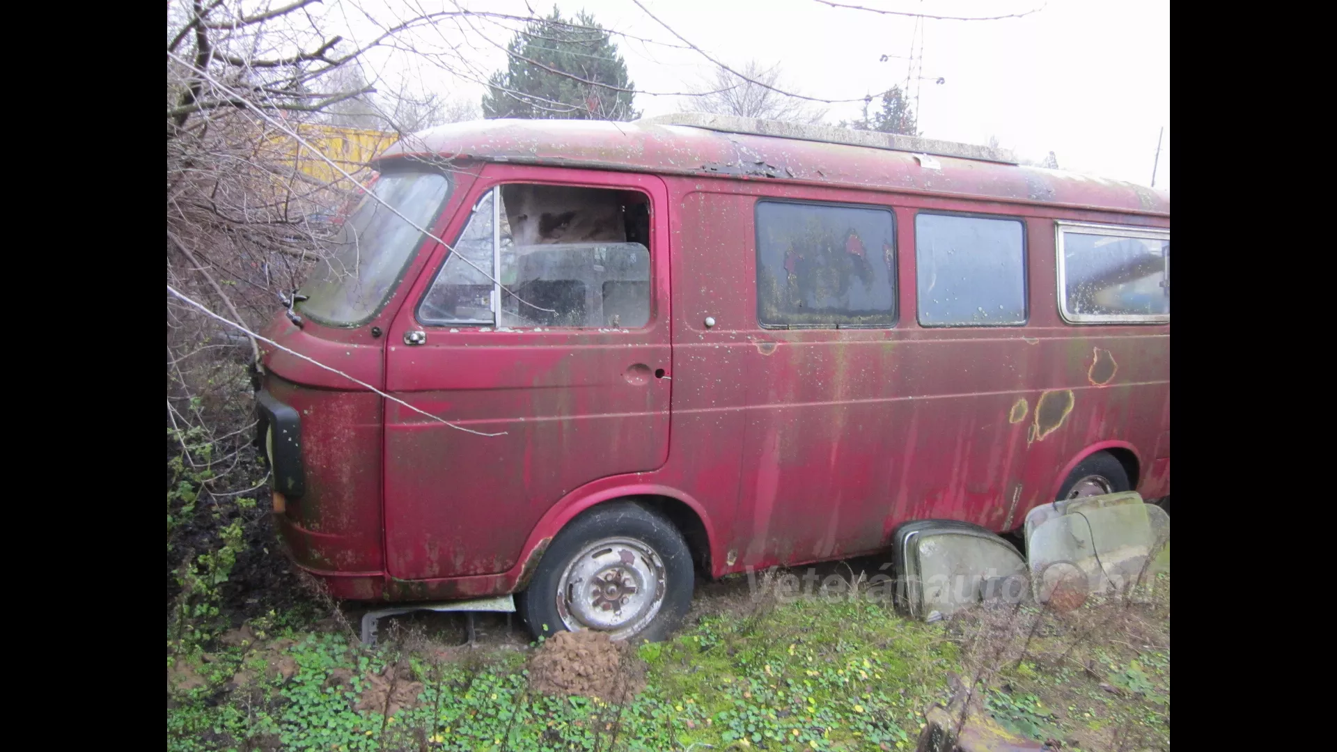 2 db FIAT 238 Weinsberg lakóauto