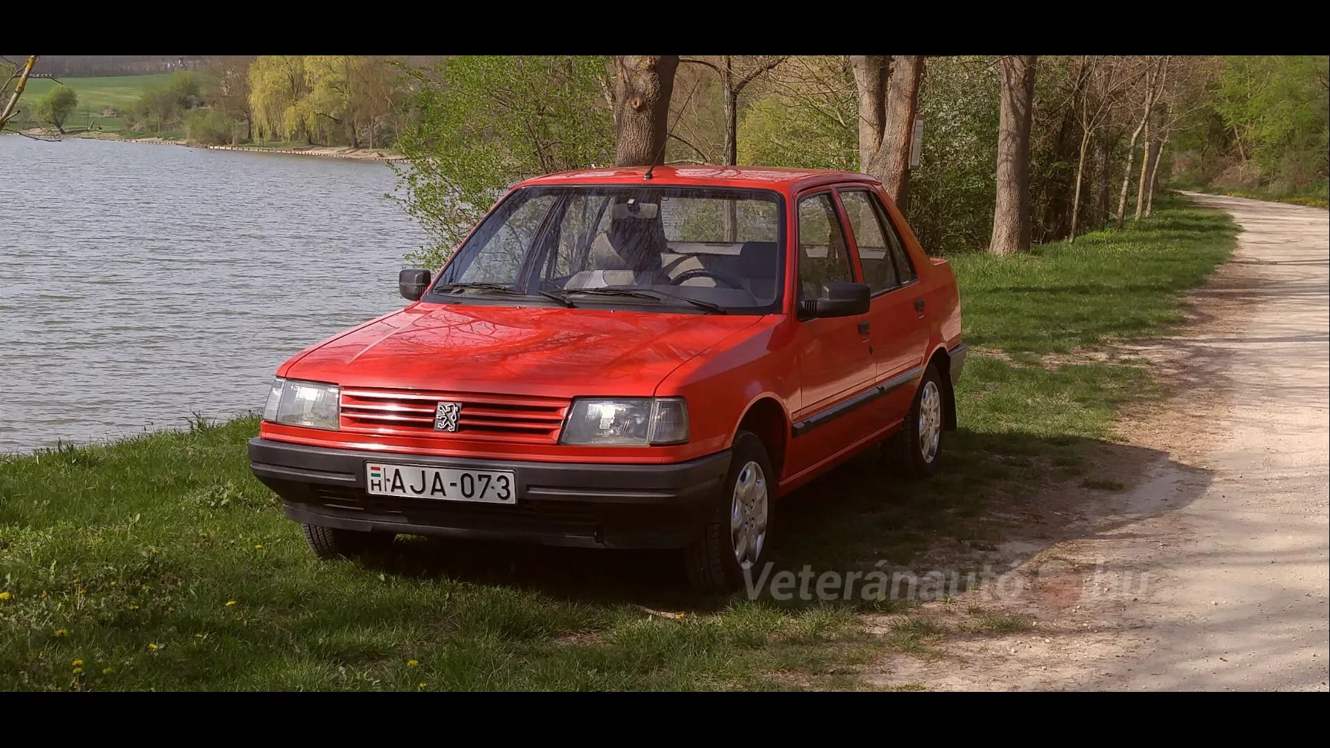 PEUGEOT 309 GL Profil