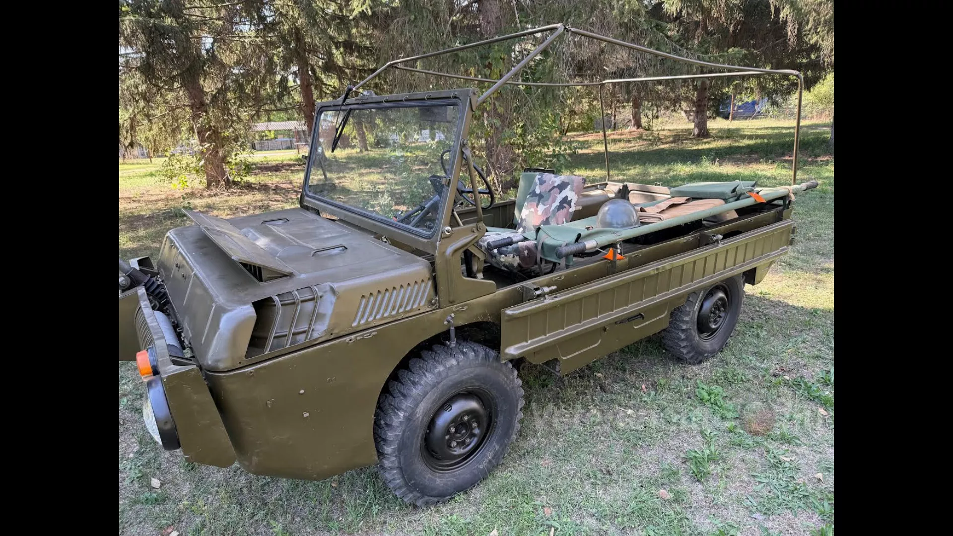 Sebesült kihordó kétéltű